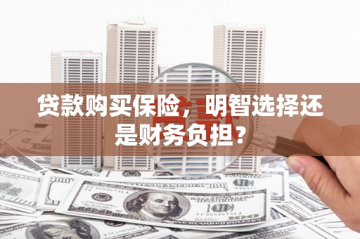 泗阳贷款购买保险，明智选择还是财务负担？