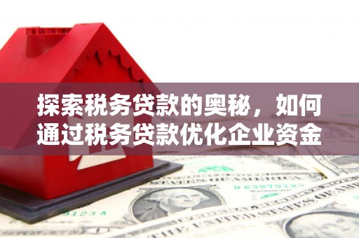 泗阳探索税务贷款的奥秘，如何通过税务贷款优化企业资金流
