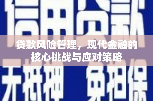 泗阳贷款风险管理，现代金融的核心挑战与应对策略