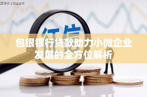 泗阳包银银行贷款助力小微企业发展的全方位解析