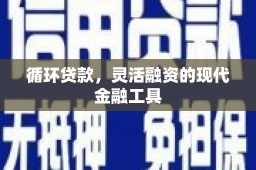 泗阳循环贷款，灵活融资的现代金融工具