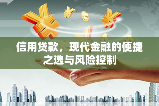 泗阳信用贷款，现代金融的便捷之选与风险控制