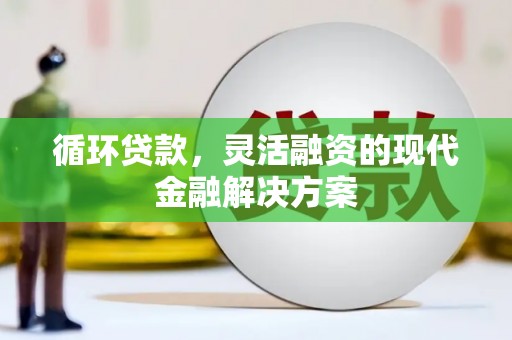 泗阳循环贷款，灵活融资的现代金融解决方案