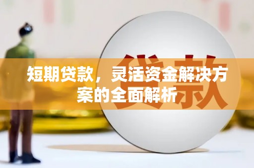 泗阳短期贷款，灵活资金解决方案的全面解析