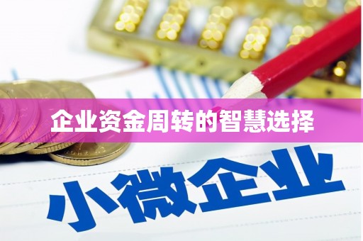泗阳企业资金周转的智慧选择