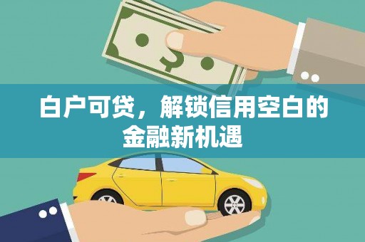 泗阳白户可贷，解锁信用空白的金融新机遇