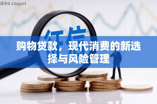 泗阳购物贷款，现代消费的新选择与风险管理