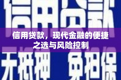 泗阳信用贷款，现代金融的便捷之选与风险控制
