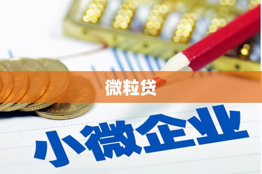 泗阳微粒贷