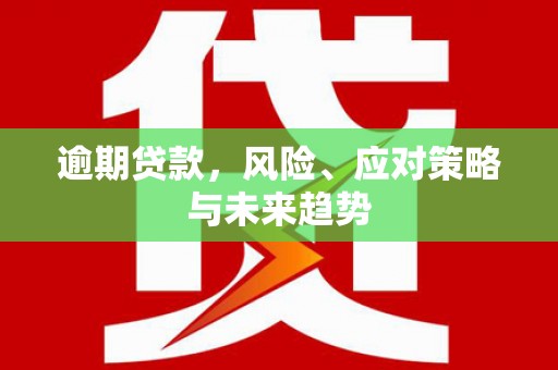 泗阳逾期贷款，风险、应对策略与未来趋势