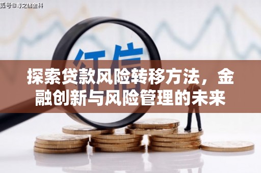 泗阳探索贷款风险转移方法，金融创新与风险管理的未来