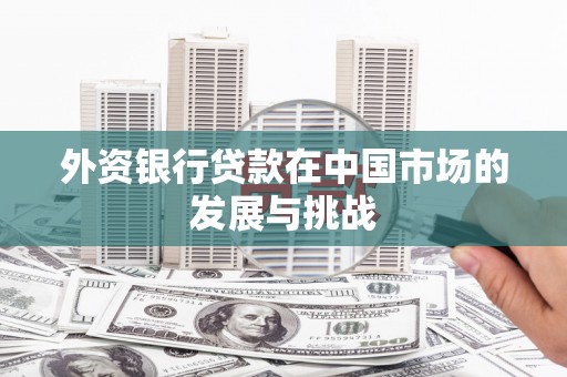 泗阳外资银行贷款在中国市场的发展与挑战
