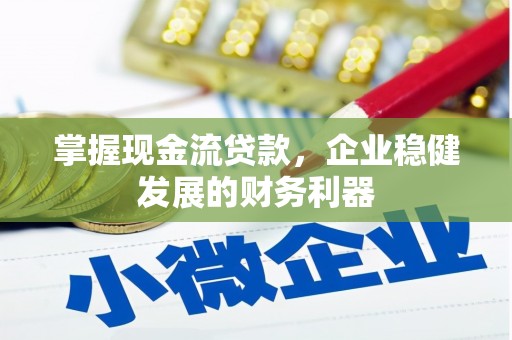 泗阳掌握现金流贷款，企业稳健发展的财务利器