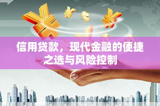 泗阳信用贷款，现代金融的便捷之选与风险控制