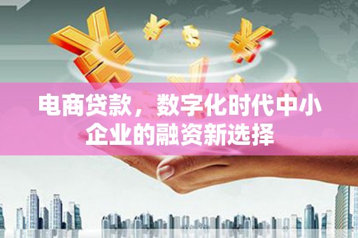 泗阳电商贷款，数字化时代中小企业的融资新选择