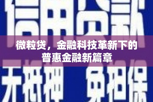 泗阳微粒贷，金融科技革新下的普惠金融新篇章