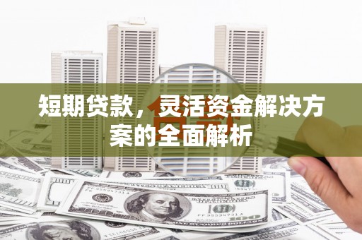 泗阳短期贷款，灵活资金解决方案的全面解析