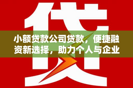 泗阳小额贷款公司贷款，便捷融资新选择，助力个人与企业成长