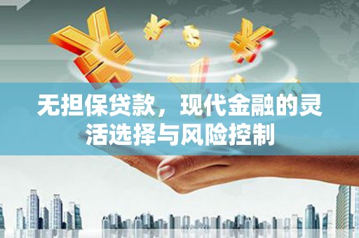 泗阳无担保贷款，现代金融的灵活选择与风险控制