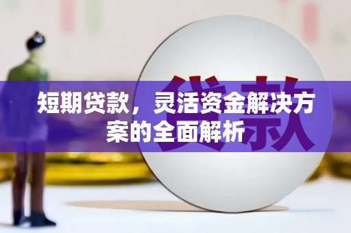 泗阳短期贷款，灵活资金解决方案的全面解析