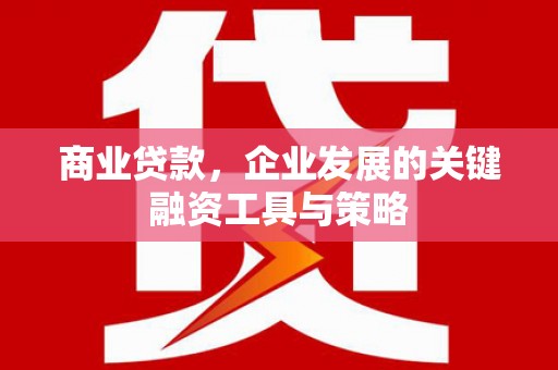 泗阳商业贷款，企业发展的关键融资工具与策略