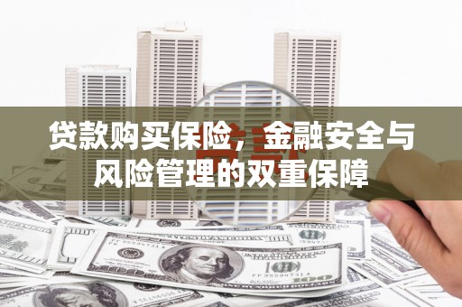 泗阳贷款购买保险，金融安全与风险管理的双重保障