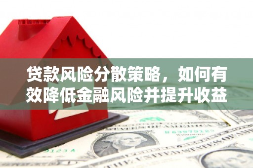 泗阳贷款风险分散策略，如何有效降低金融风险并提升收益