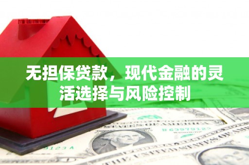 泗阳无担保贷款，现代金融的灵活选择与风险控制