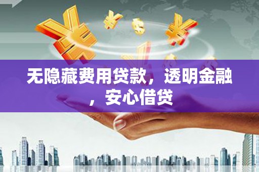 泗阳无隐藏费用贷款，透明金融，安心借贷