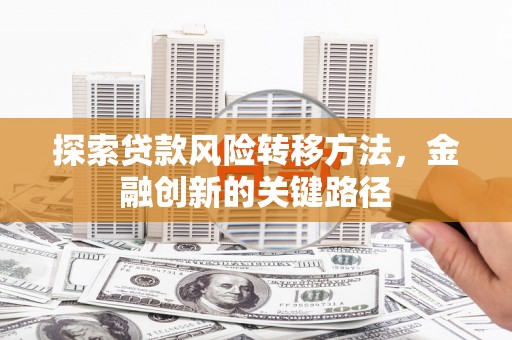 泗阳探索贷款风险转移方法，金融创新的关键路径