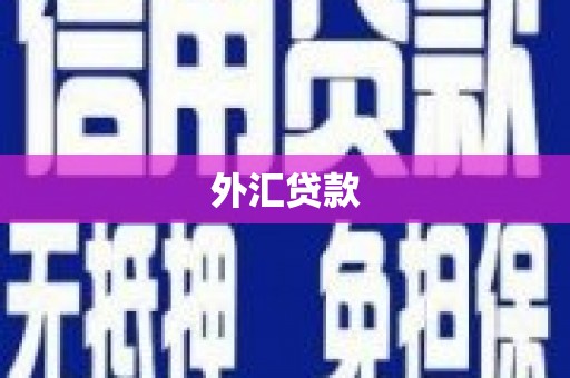 泗阳外汇贷款