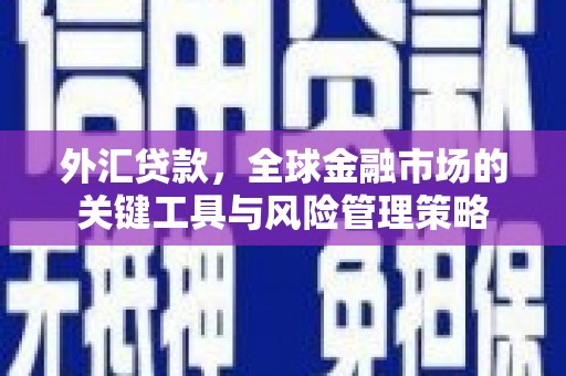 泗阳外汇贷款，全球金融市场的关键工具与风险管理策略