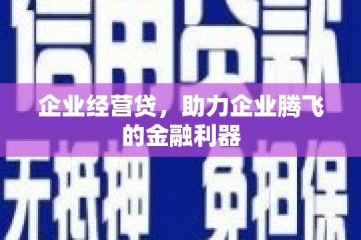 泗阳企业经营贷，助力企业腾飞的金融利器
