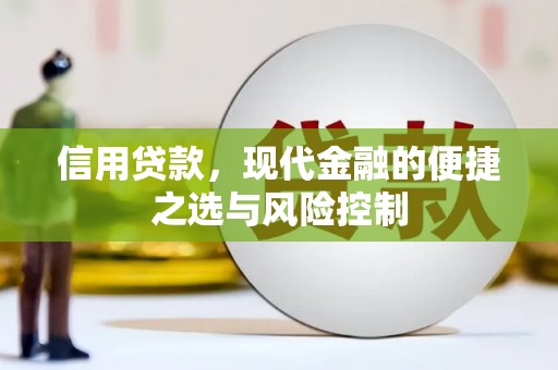 泗阳信用贷款，现代金融的便捷之选与风险控制