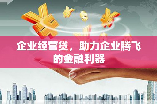 泗阳企业经营贷，助力企业腾飞的金融利器