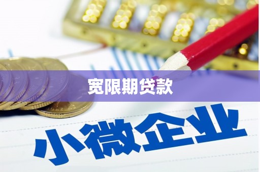 泗阳宽限期贷款