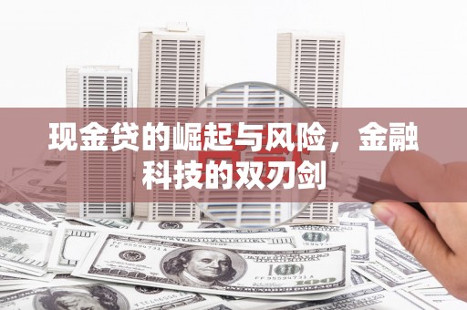 泗阳现金贷的崛起与风险，金融科技的双刃剑