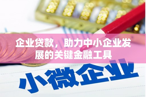 泗阳企业贷款，助力中小企业发展的关键金融工具