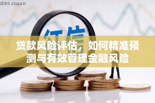 泗阳贷款风险评估，如何精准预测与有效管理金融风险