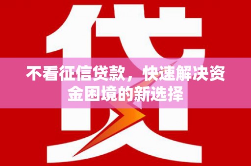 泗阳不看征信贷款，快速解决资金困境的新选择
