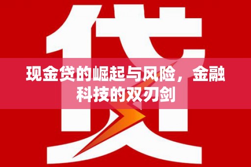 泗阳现金贷的崛起与风险，金融科技的双刃剑