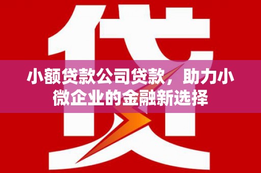泗阳小额贷款公司贷款，助力小微企业的金融新选择