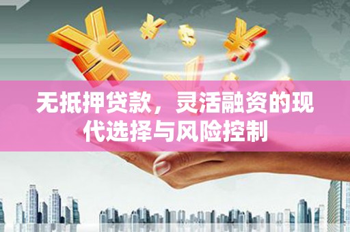 泗阳无抵押贷款，灵活融资的现代选择与风险控制