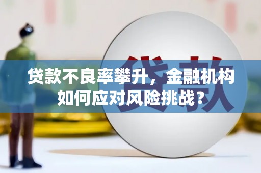 泗阳贷款不良率攀升，金融机构如何应对风险挑战？