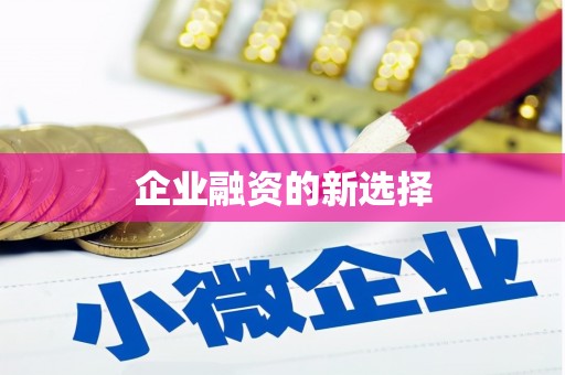 泗阳企业融资的新选择