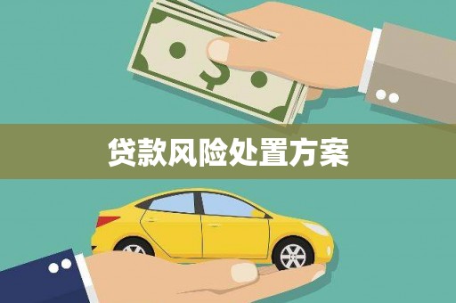 泗阳贷款风险处置方案