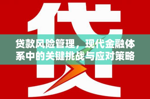 泗阳贷款风险管理，现代金融体系中的关键挑战与应对策略