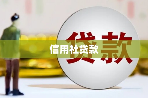 泗阳信用社贷款
