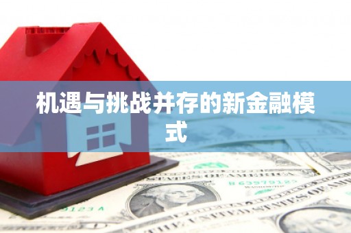 泗阳机遇与挑战并存的新金融模式
