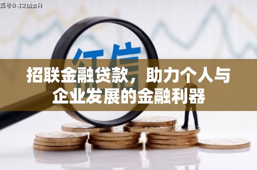 泗阳招联金融贷款，助力个人与企业发展的金融利器